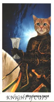 Cat's House Tarot by Hiroko Miyamoto